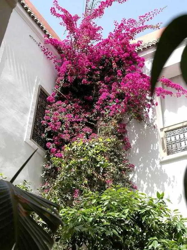 Dar Baya Apartment Marrakesh